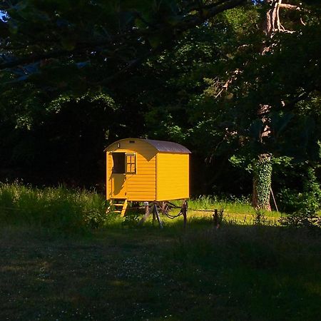 Blackstairs Shepherds Huts Killedmond Екстер'єр фото