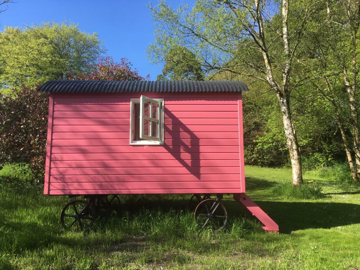 Blackstairs Shepherds Huts Killedmond Екстер'єр фото